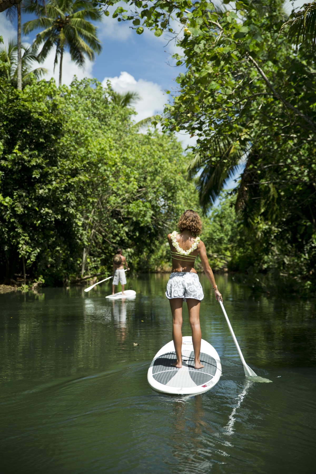 La Rivière Faaroa